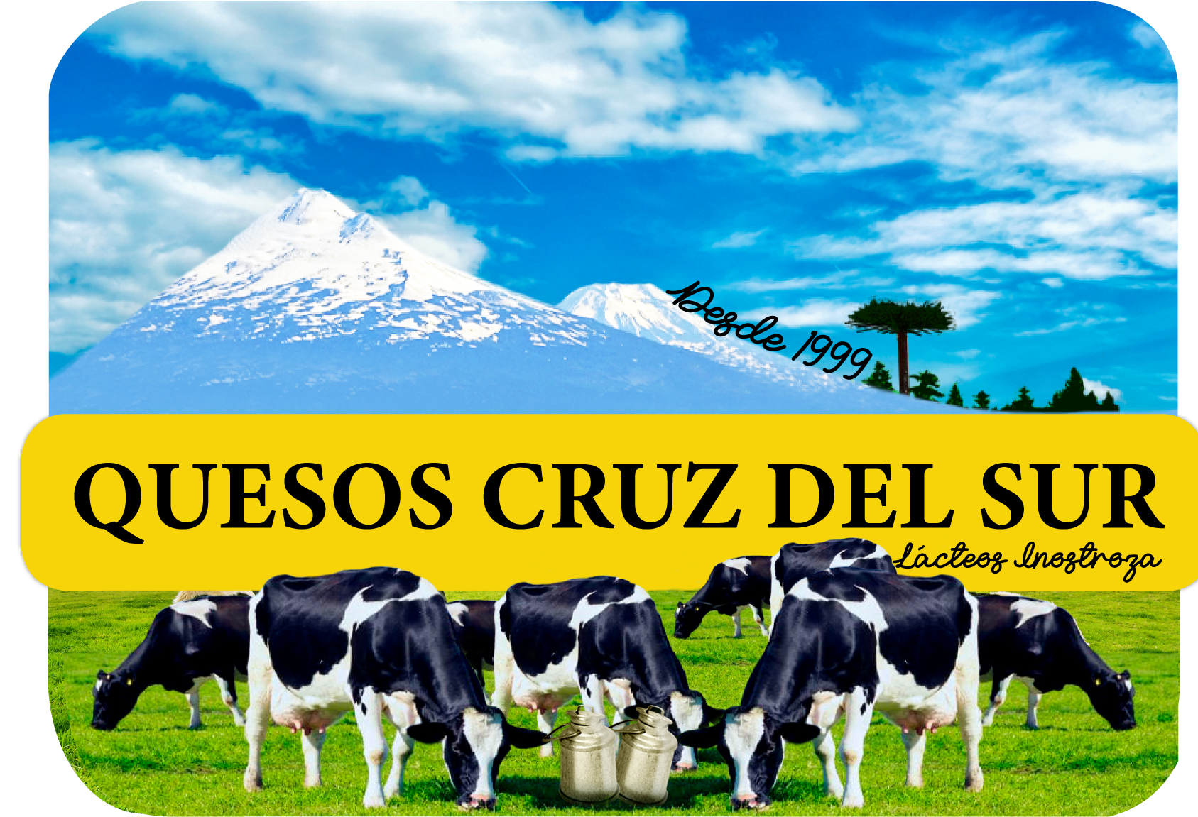 Quesos Cruz del Sur